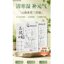 黄金养生周：限时秒杀三伏贴*2盒=29.9元 
